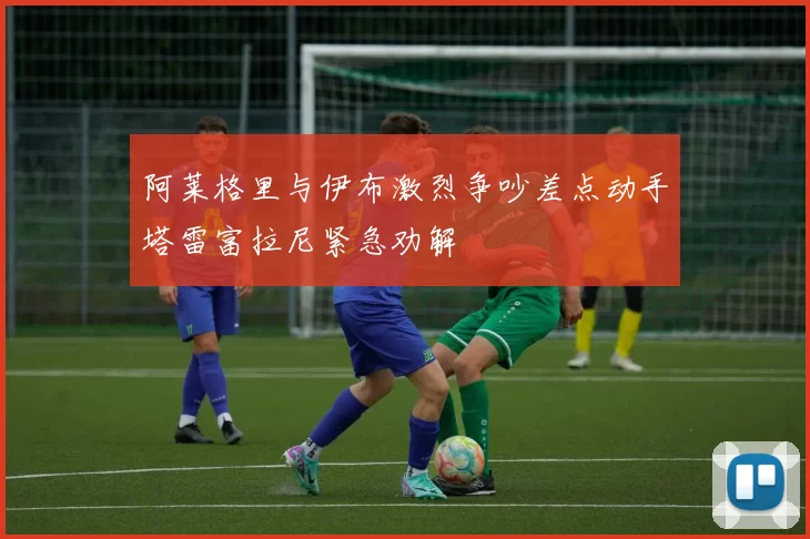 阿莱格里与伊布激烈争吵差点动手塔雷富拉尼紧急劝解