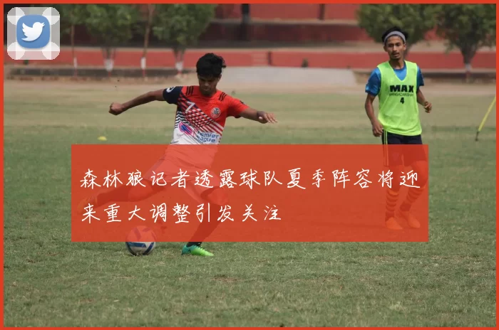 森林狼记者透露球队夏季阵容将迎来重大调整引发关注