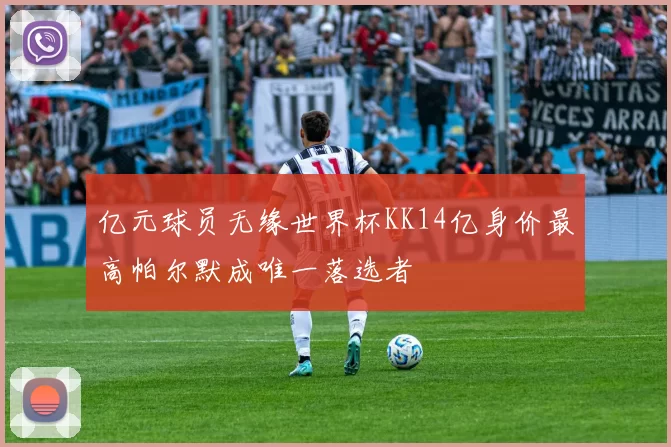 亿元球员无缘世界杯KK14亿身价最高帕尔默成唯一落选者